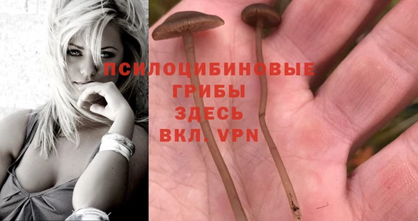 прущий лед Надым