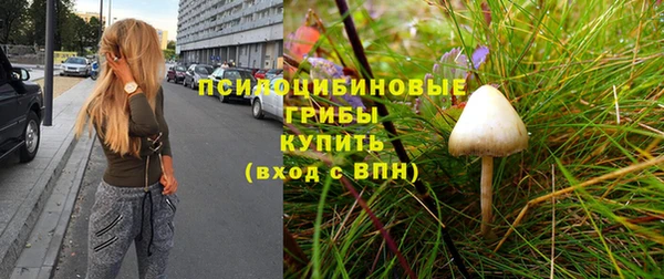 прущий лед Надым