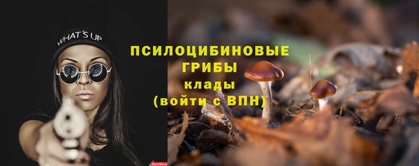 прущий лед Надым