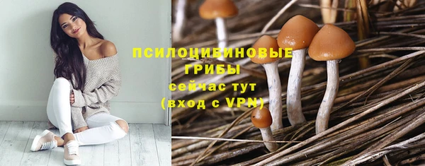 дживик Наволоки